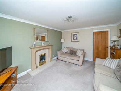Picture 7